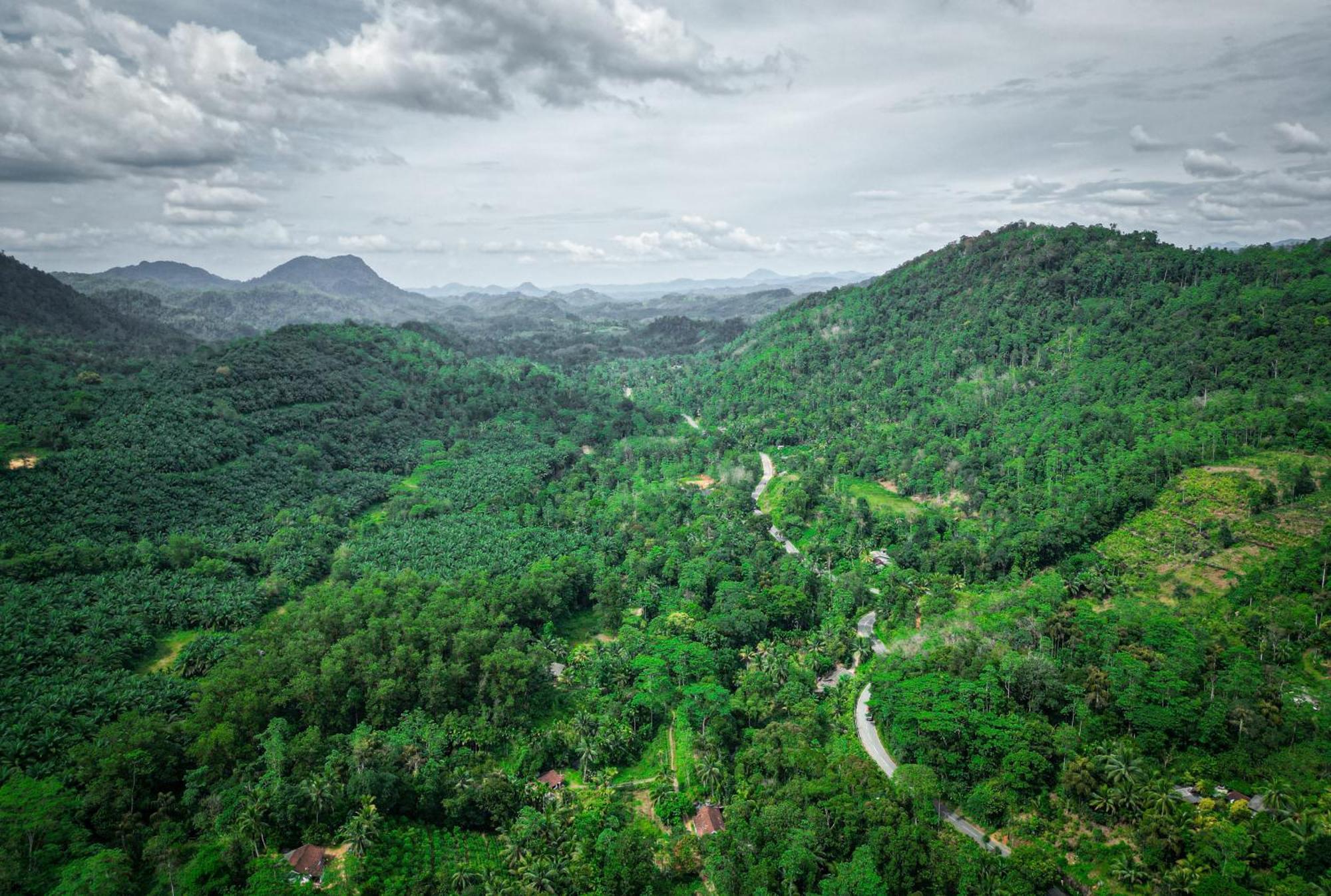 Singharaja Garden Agro Eco Lodge Pelawatta  Экстерьер фото