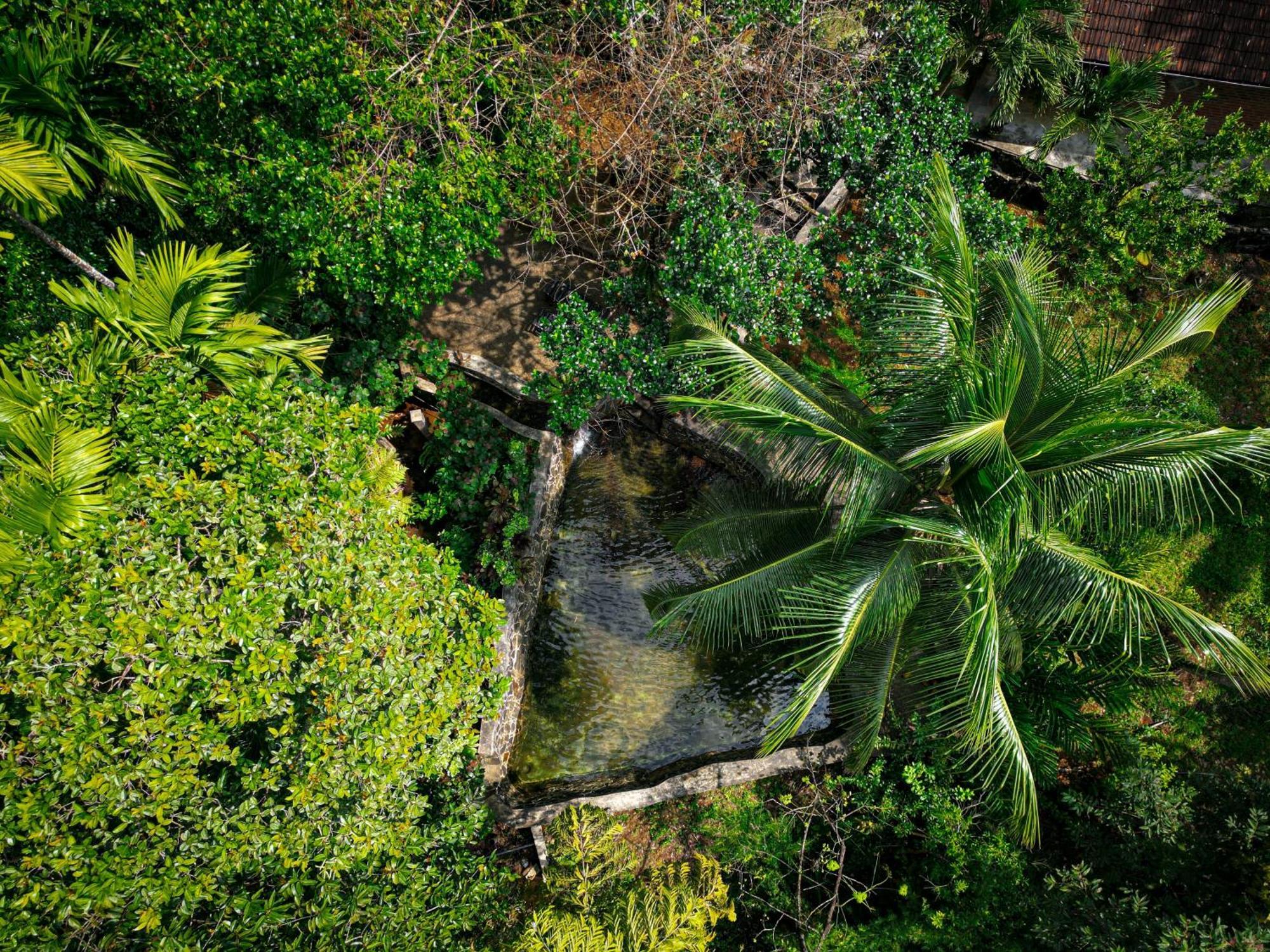 Singharaja Garden Agro Eco Lodge Pelawatta  Экстерьер фото