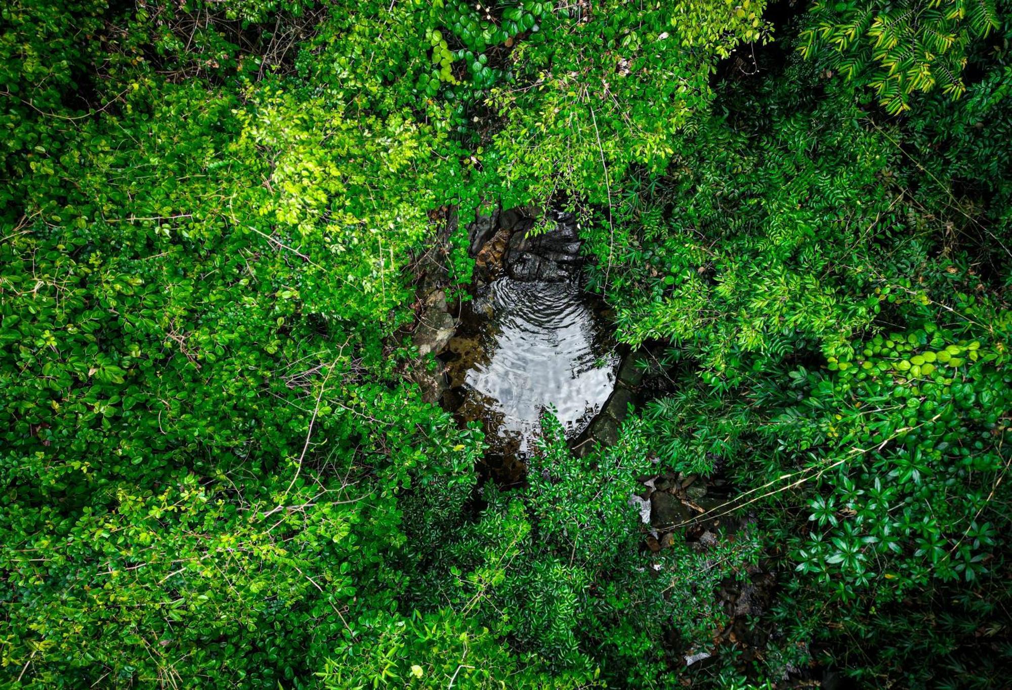 Singharaja Garden Agro Eco Lodge Pelawatta  Экстерьер фото