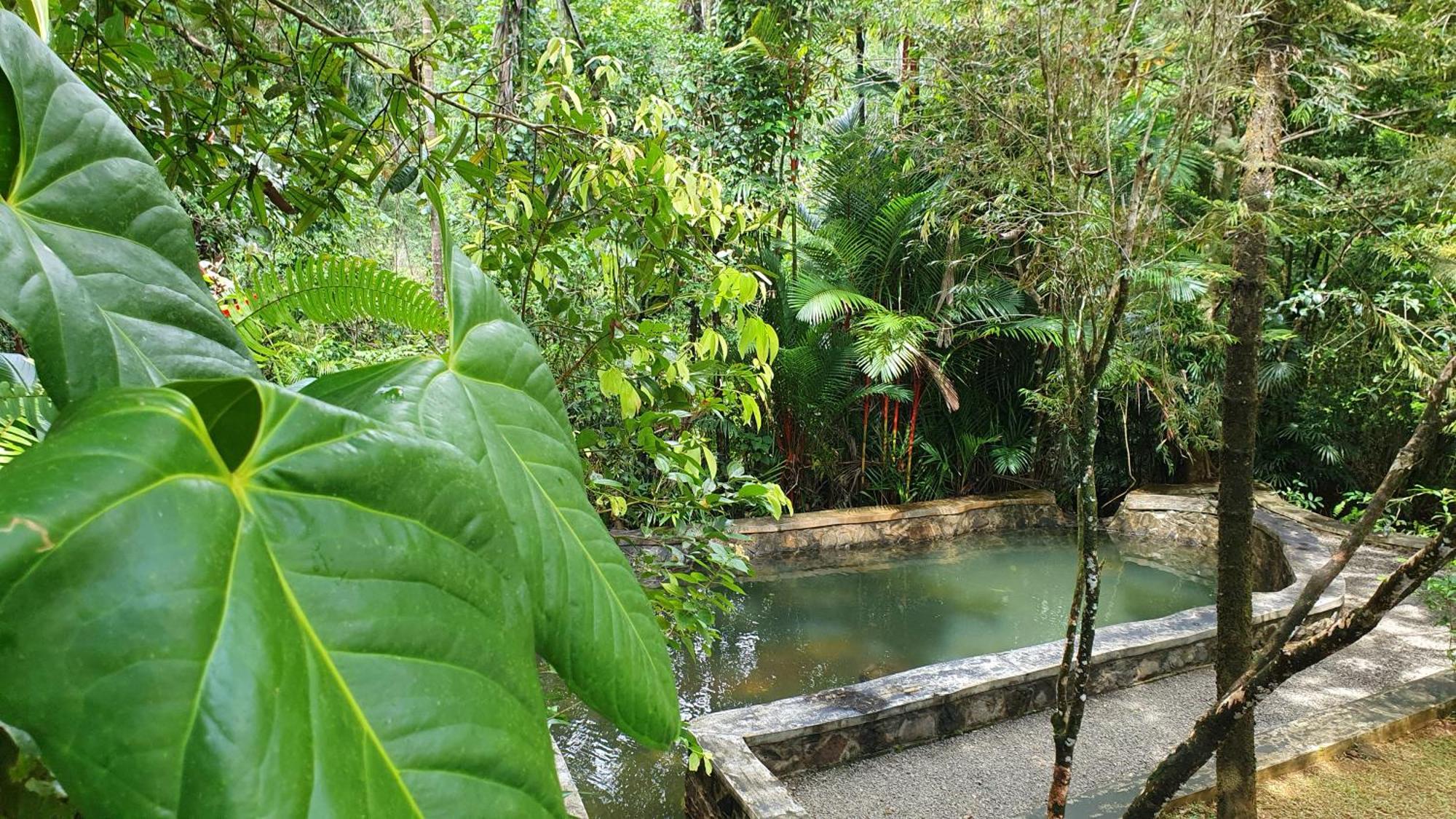 Singharaja Garden Agro Eco Lodge Pelawatta  Номер фото